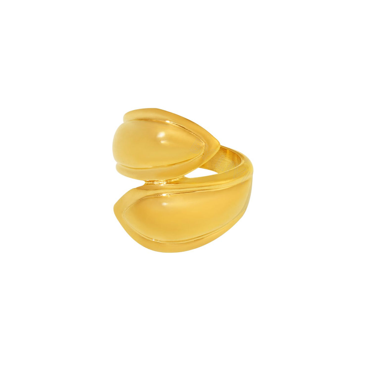 AURORA CURVE Ring