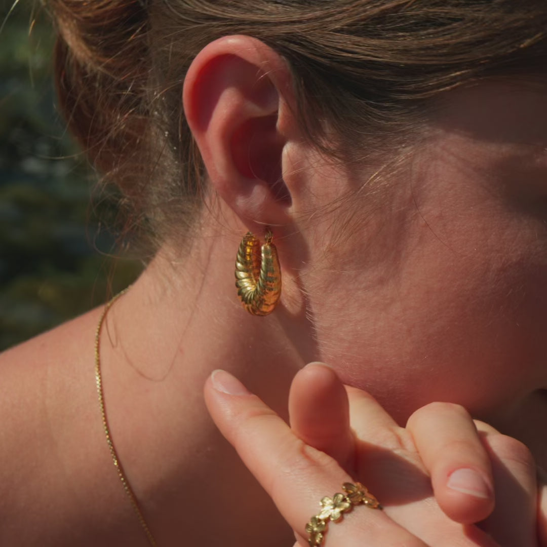 CAMI Hoops